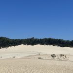 Sand dunes on Queensland Islands.
