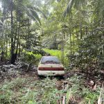 Abandoned car set in a private rainforest in Far North Queensland.
