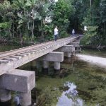 Train track in a rainforest near Cairns Qld.